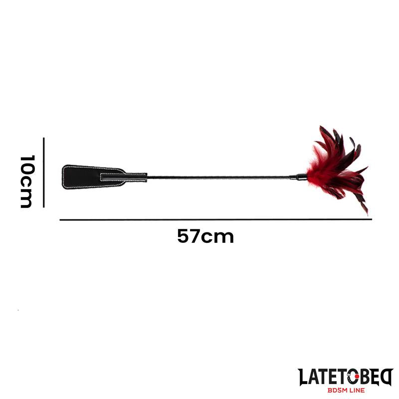Pala con Plumas 2 en 1